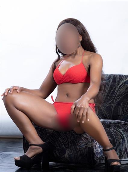 Escort model Teina, Zagreb - 537